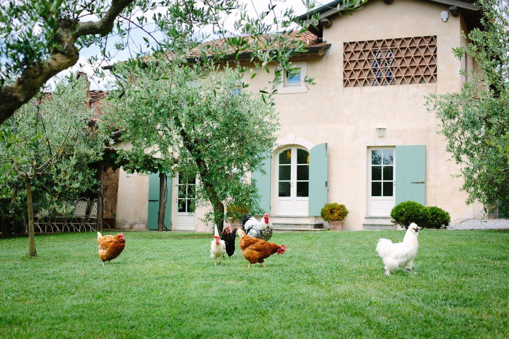 Agriturismo Mareli Villa Camaiore Exterior photo